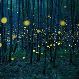 欧美男巨人激情Gay
