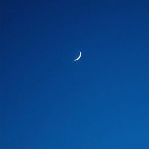 欧美男巨人激情Gay
